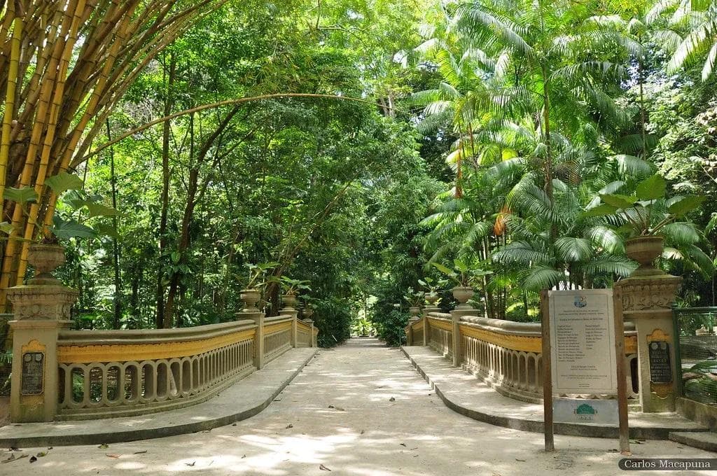 Bosque Rodrigues Alves